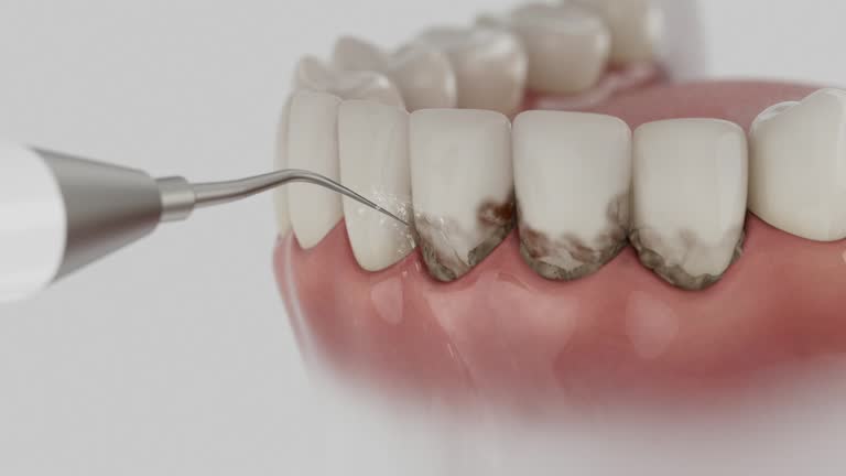 Reliable Dental contractor in Lauderhill, FL by Dentist Open Now